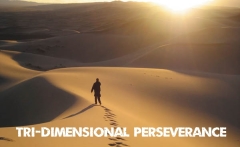 tri-dimensional perseverance